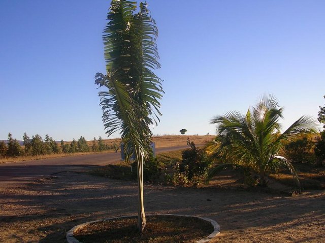 1723-entrance.JPG, 107 KB